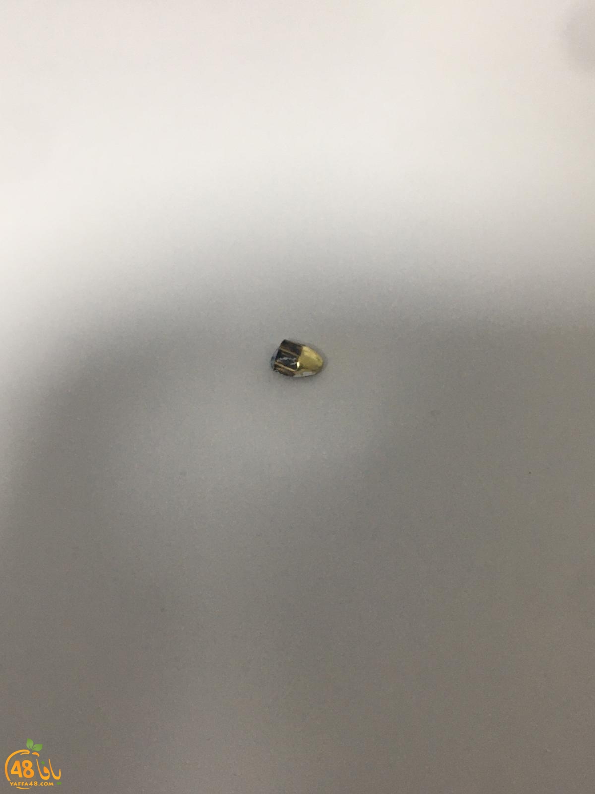 WhatsApp Image 2021-01-24 at 9.03.50 AM.jpeg